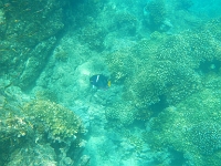 DSCN4905