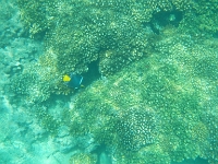 DSCN4906