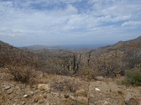P1040585