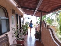 P1040598