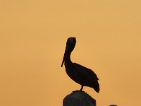 P1040609