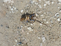 P1270093