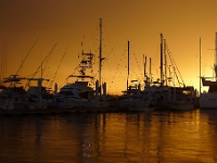 P1270181