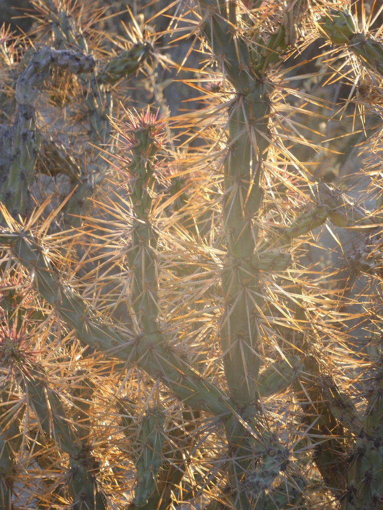 P1010195