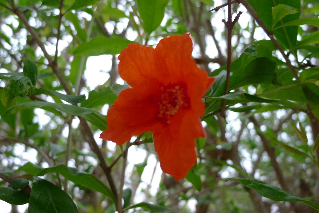 P1260449