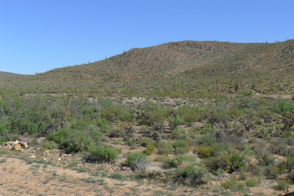 P1260457