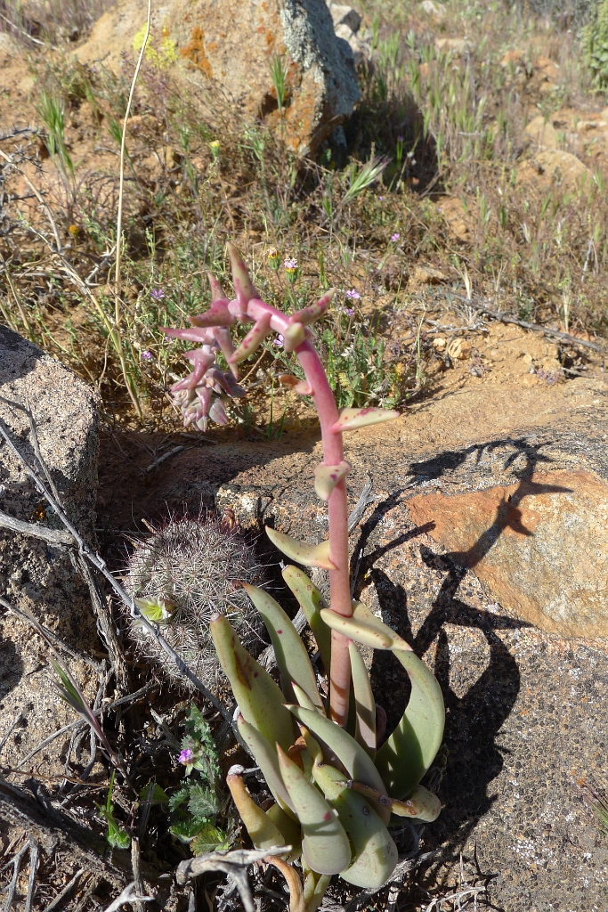 P1260462