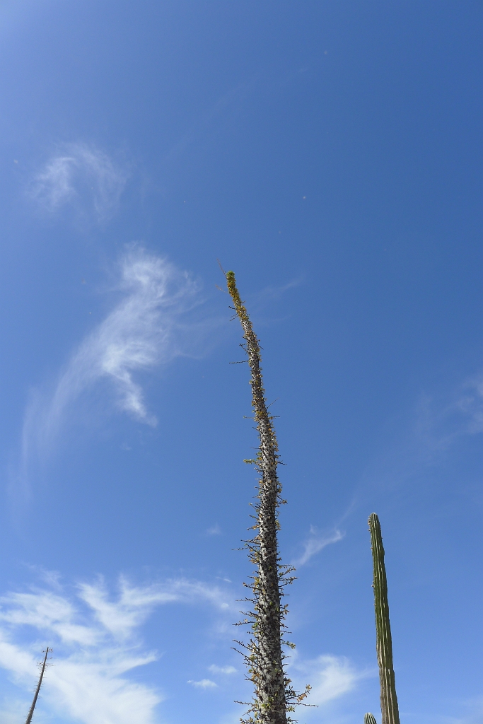 P1260481