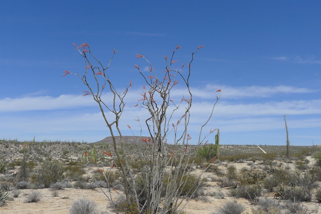 P1260485