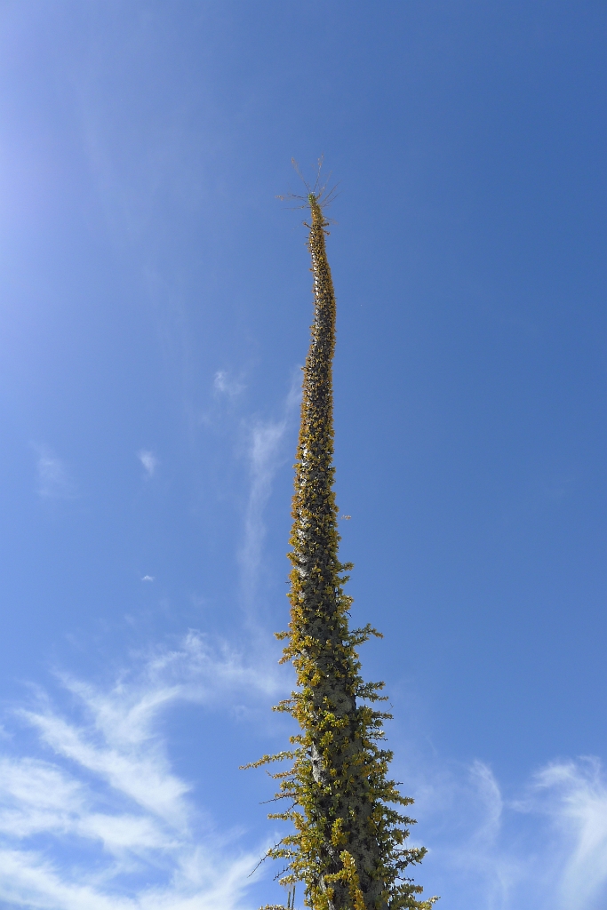 P1260490