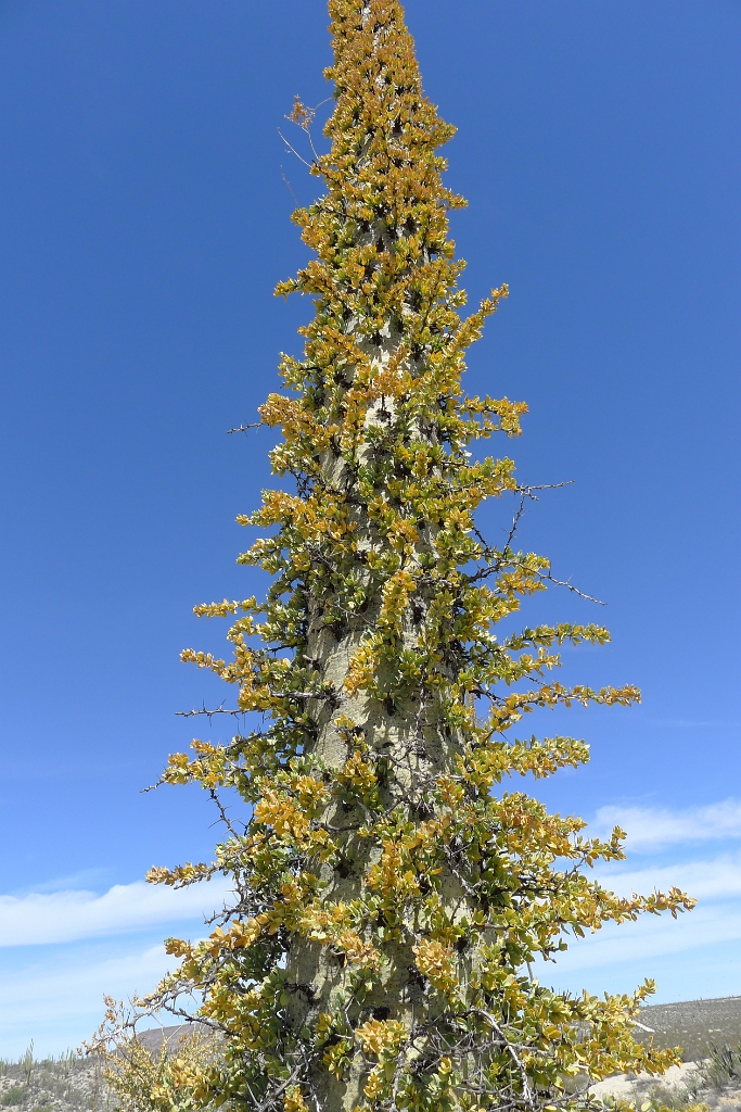 P1260491