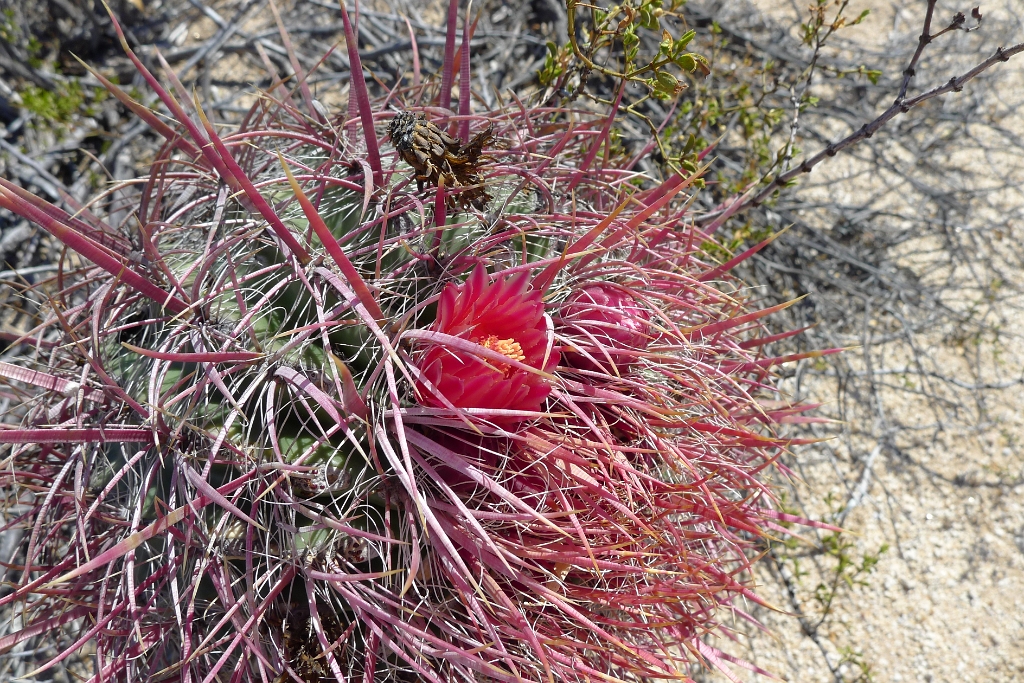 P1260492