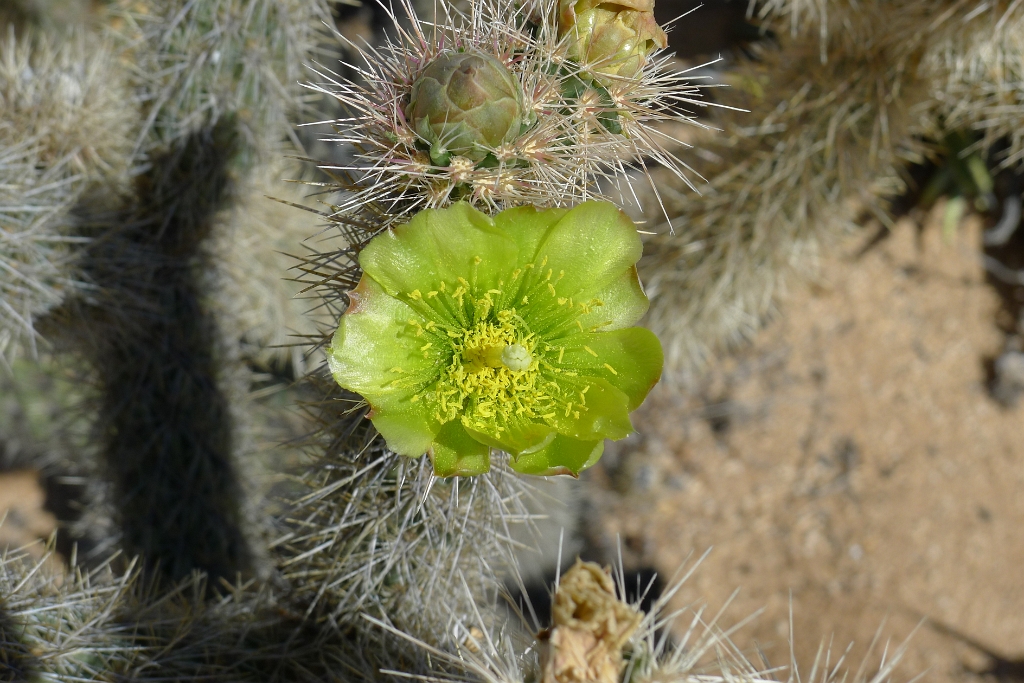 P1260494