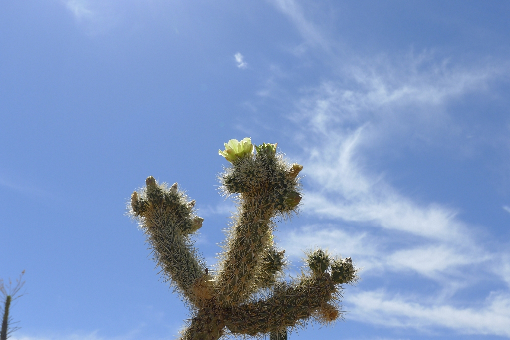 P1260495