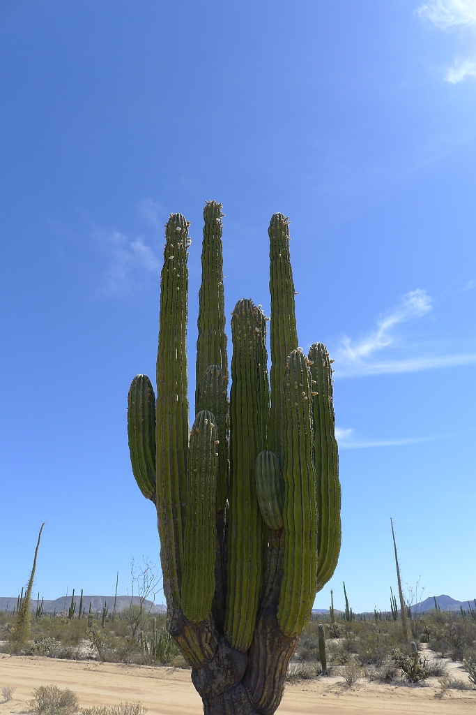 P1260497