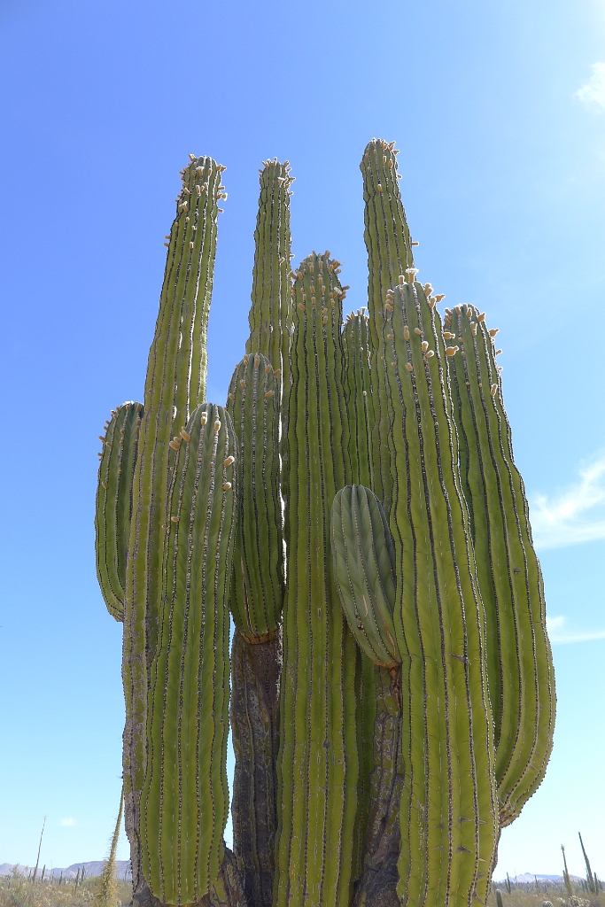 P1260498