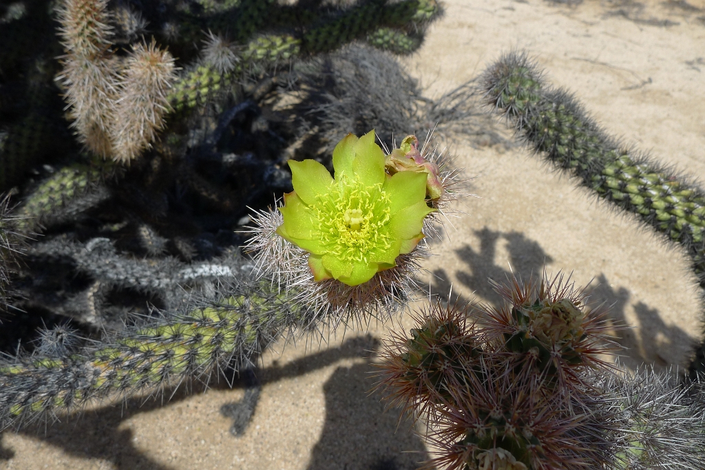 P1260507