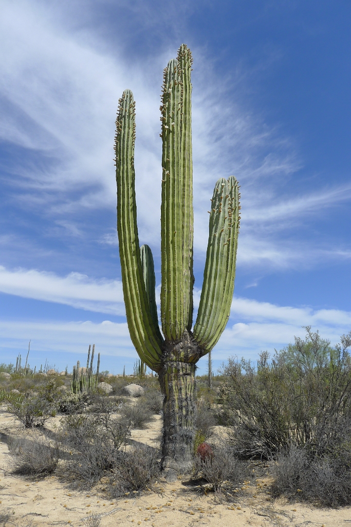 P1260513
