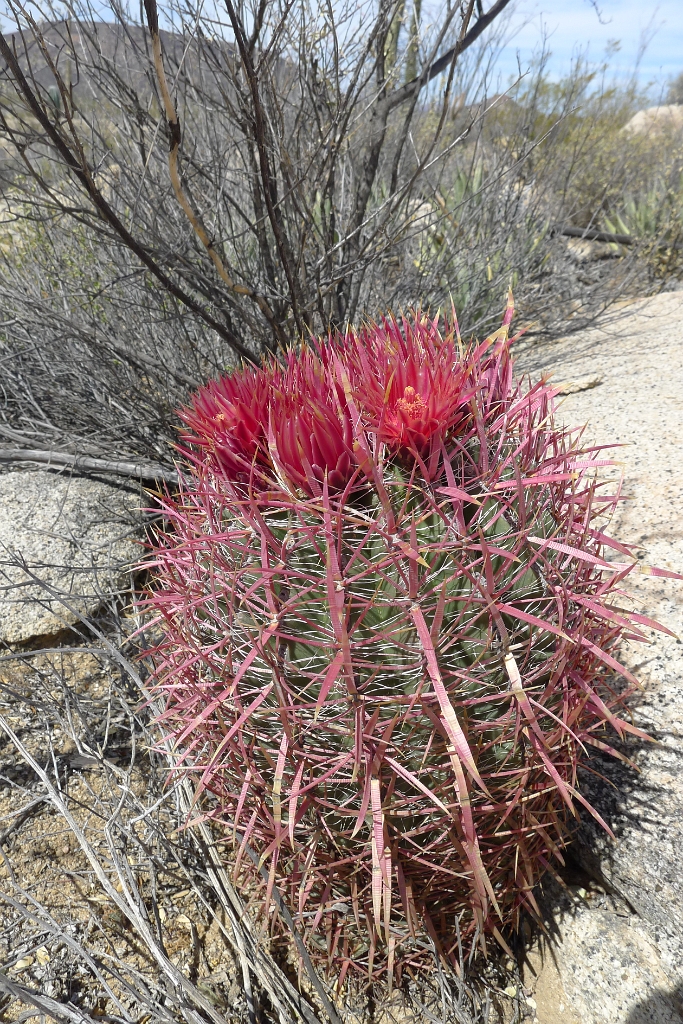 P1260514