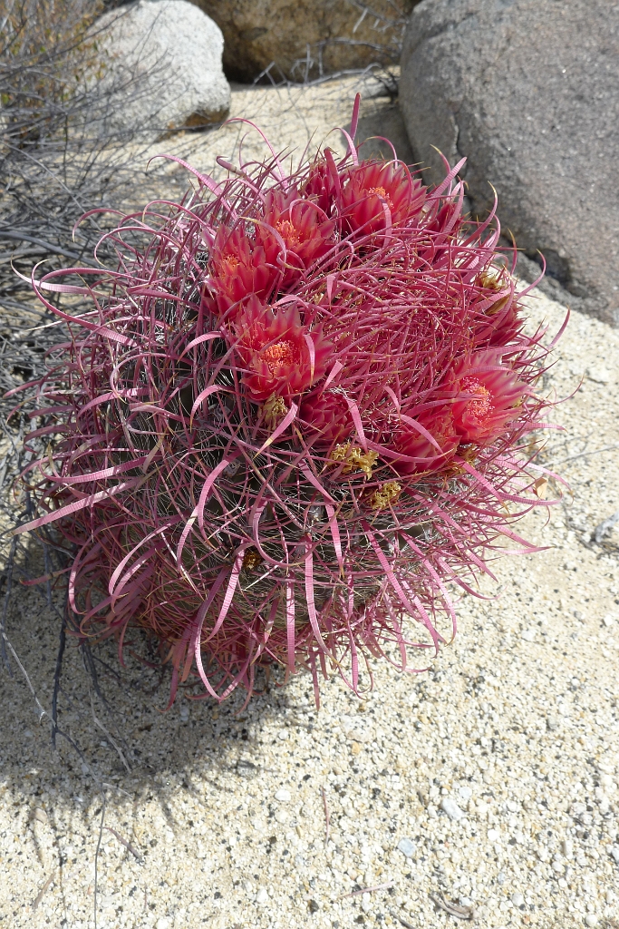 P1260516