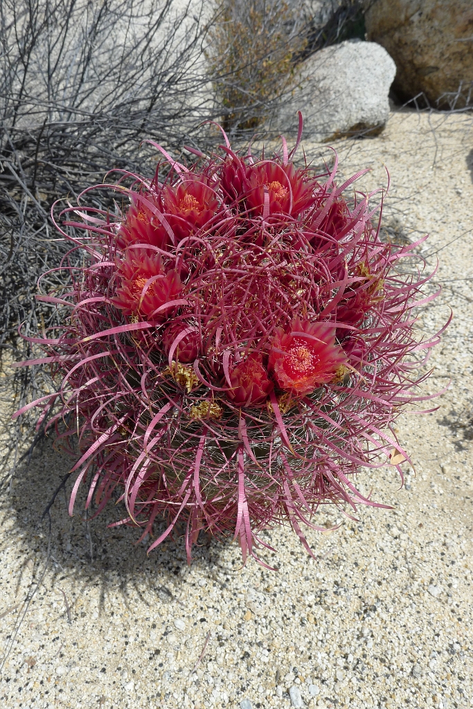 P1260517