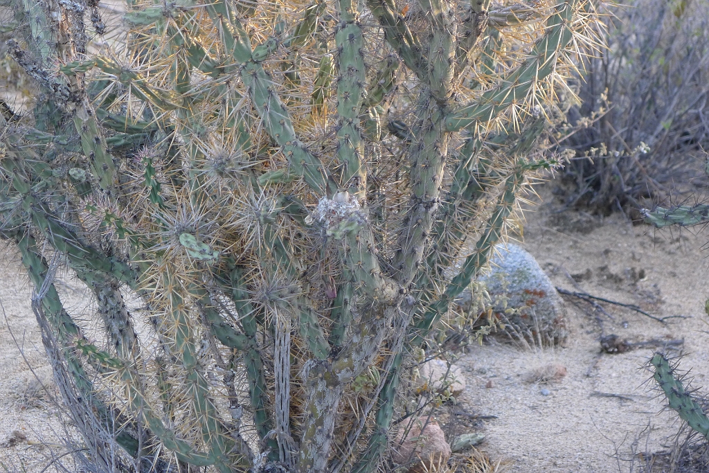 P1260832