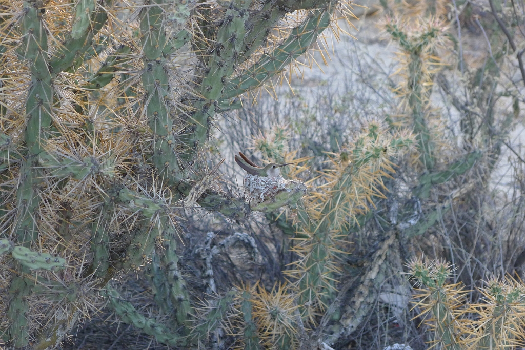 P1260837