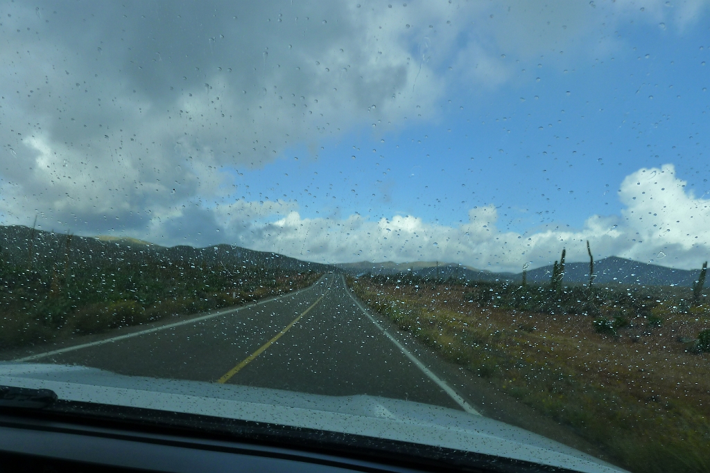 P1260889