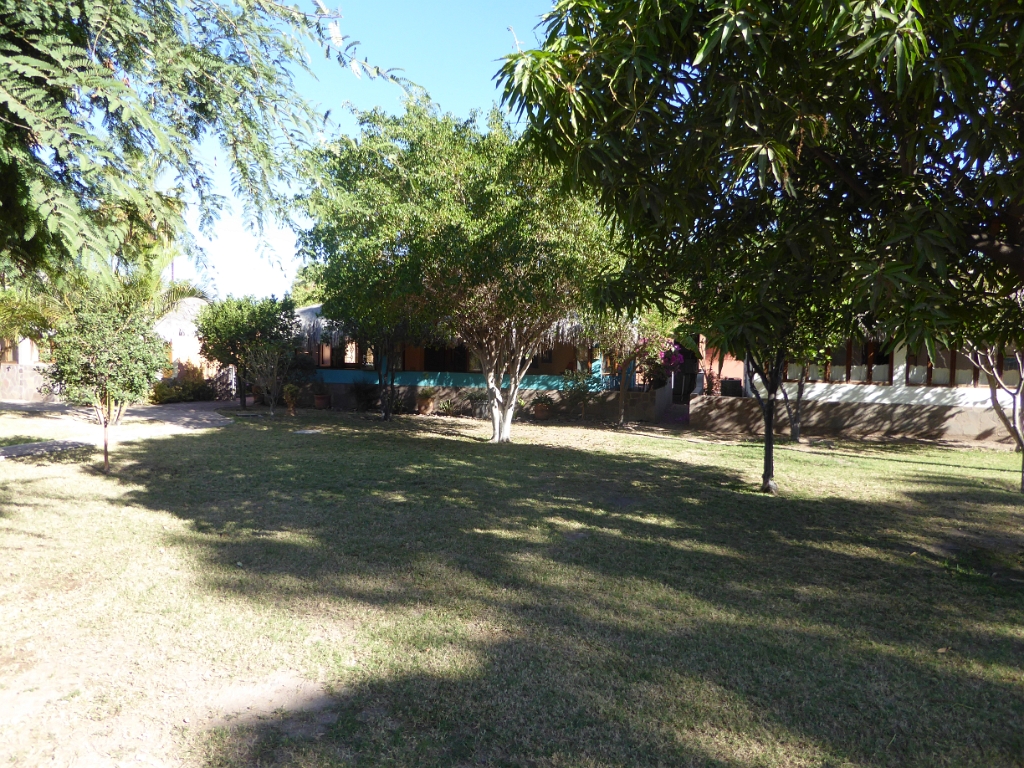 P1010160