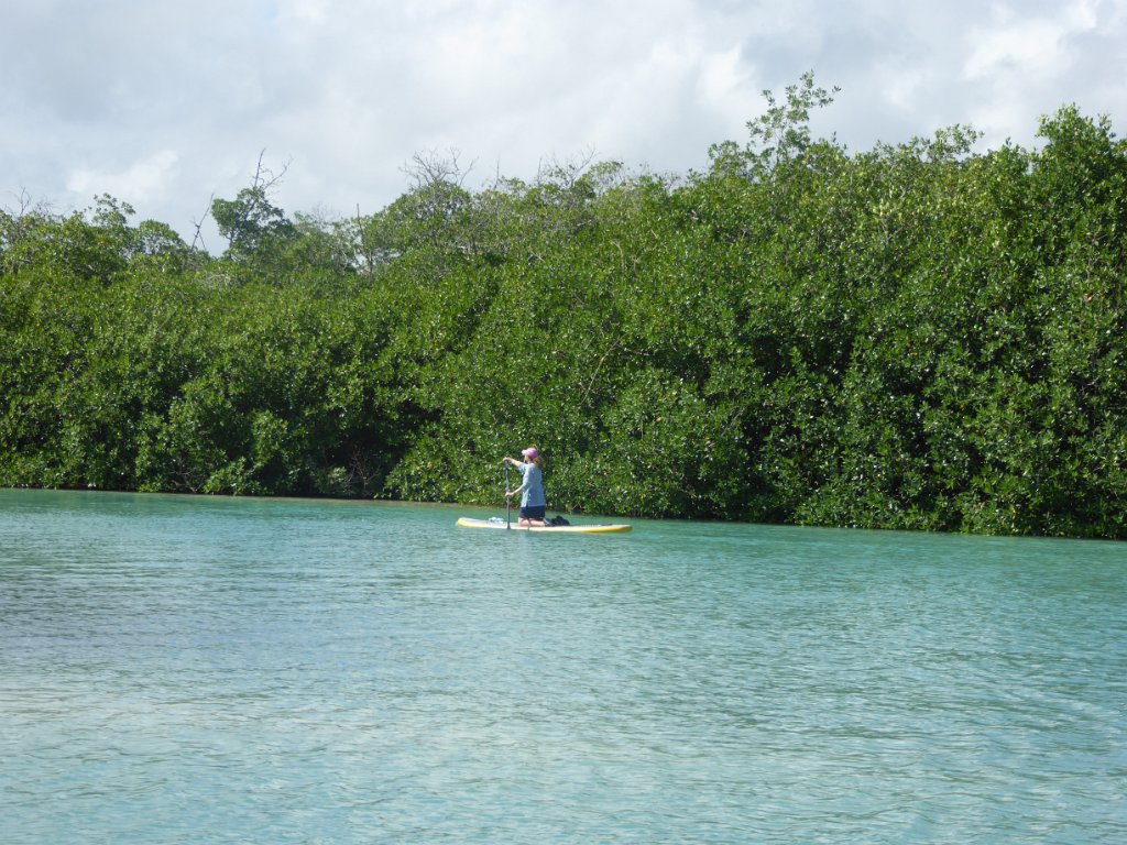 P1000360