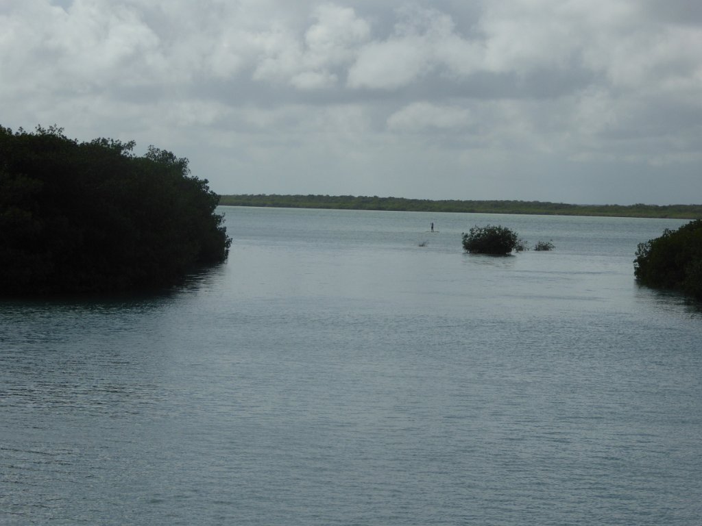 P1000363