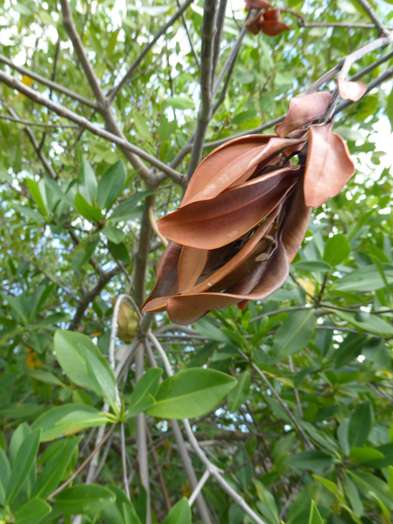 P1000372