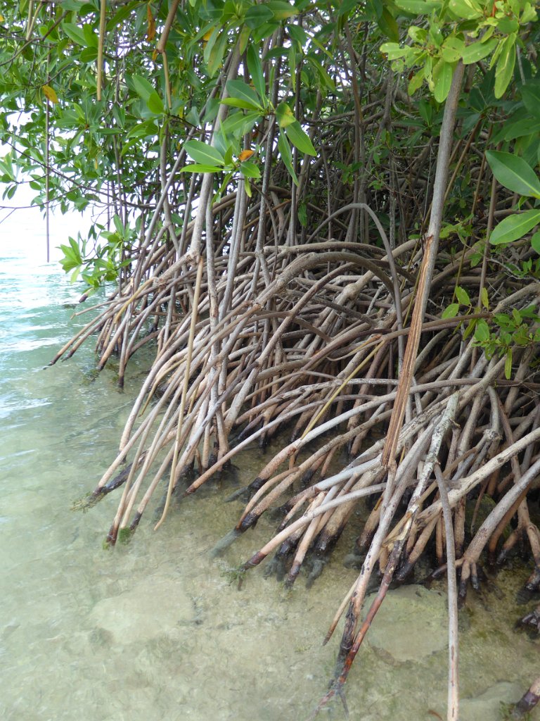 P1000373
