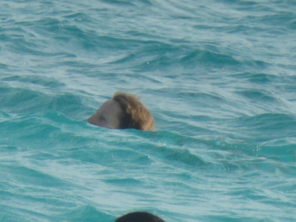 P1000382