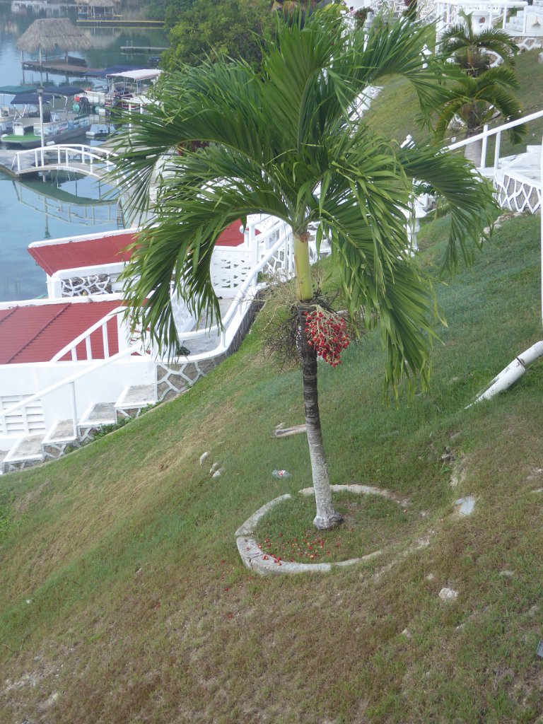P1010209