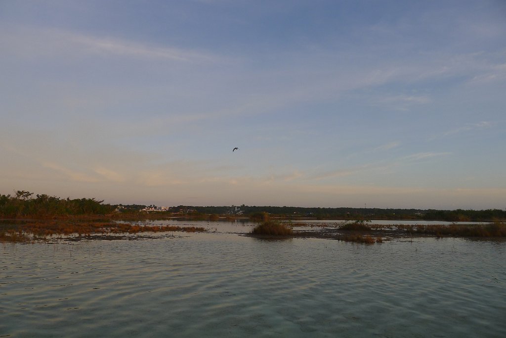 P1290437