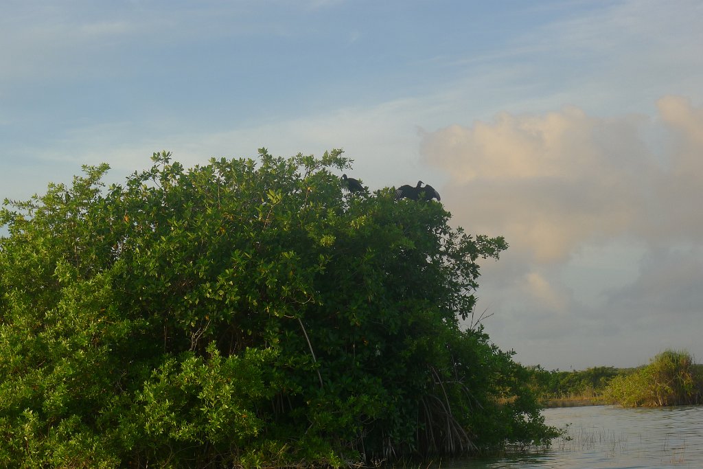 P1290442