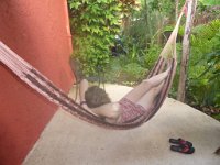 P1000338  New hammock. They don't last forever