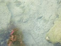 P1290340