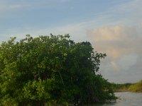 P1290442