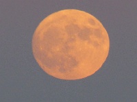 P1050154