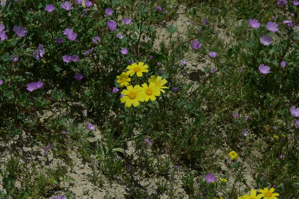 P1310640
