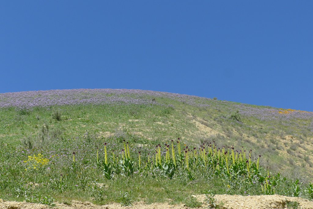 P1310679