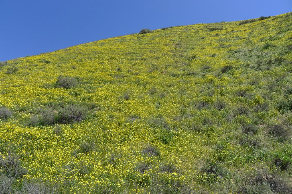 P1310680