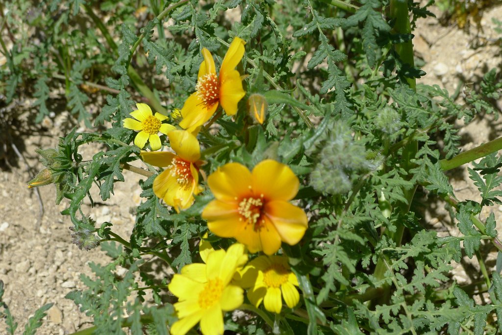 P1310721