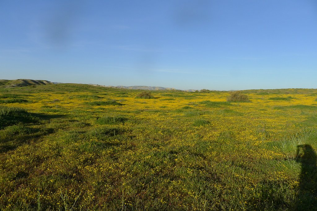 P1310860