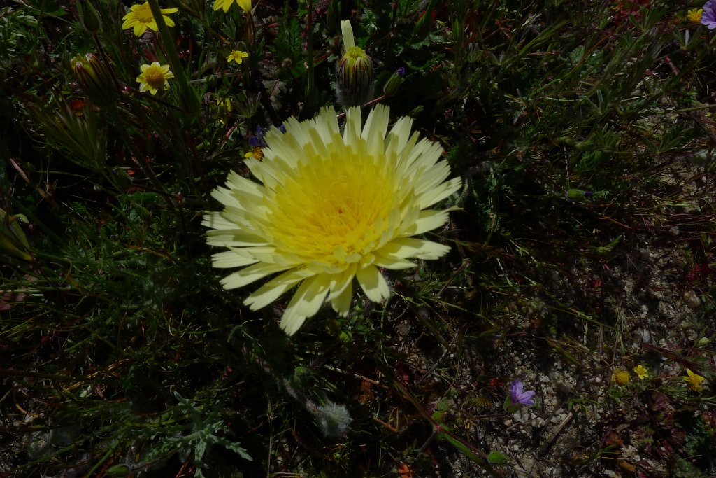 P1310922