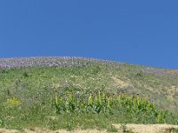P1310679