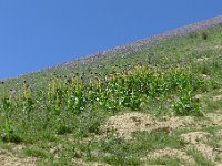 P1310681