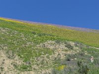 P1310698